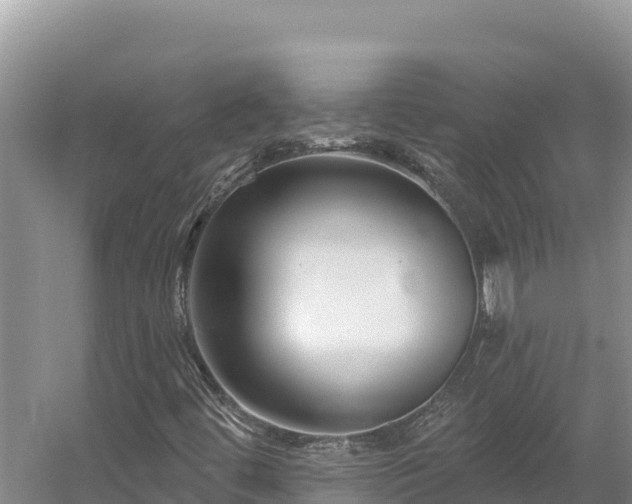 X0000054381444200508051609