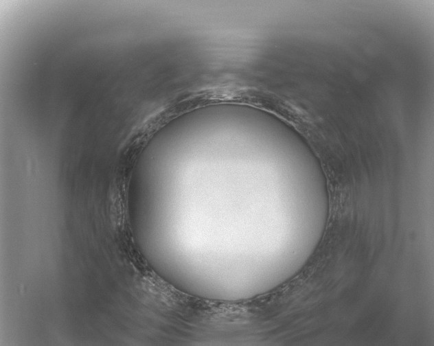 X0000054381446200508051609