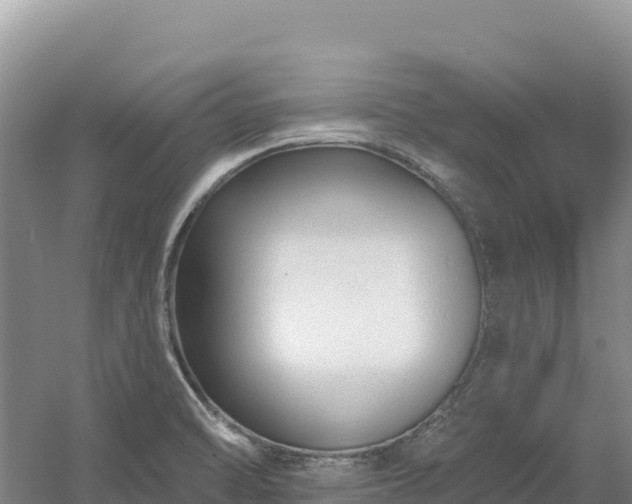 X0000054381470200508051608