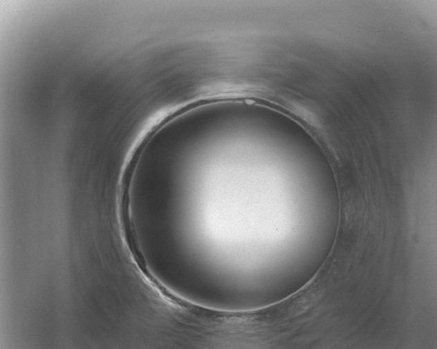 X0000054381472200508051608