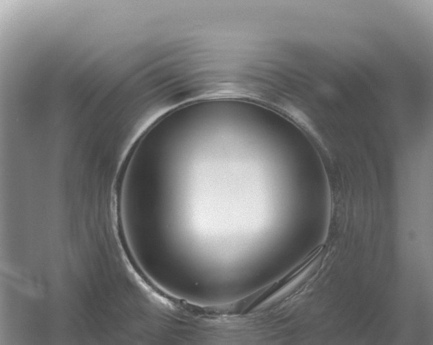 X0000054381476200508051608