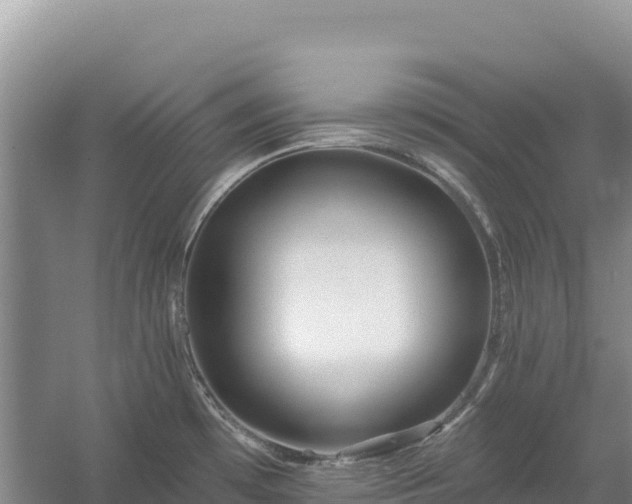 X0000054381481200508051608