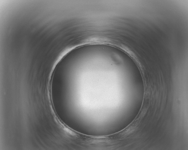 X0000054381486200508051608