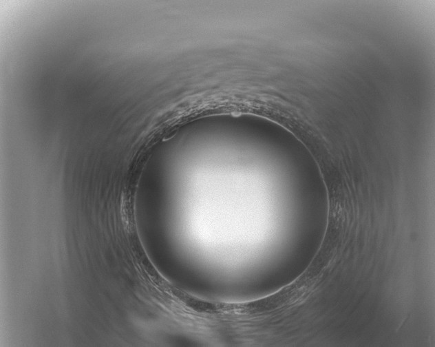 X0000054381490200508051607