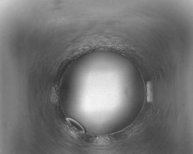 X0000054381491200508051607