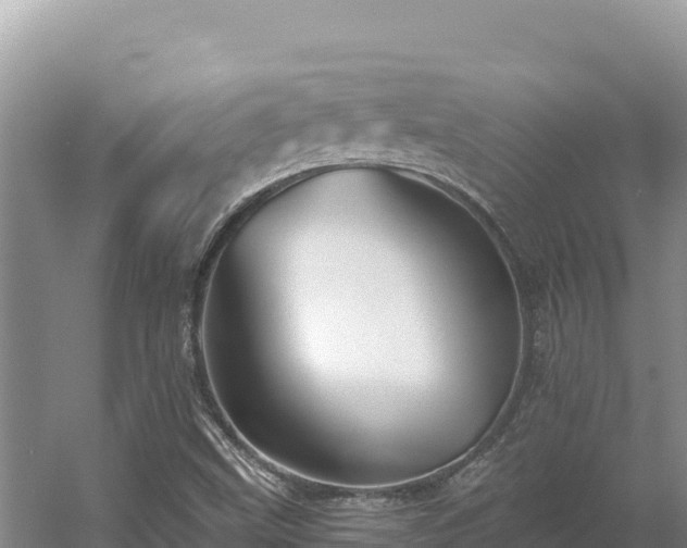 X0000054381499200508051607