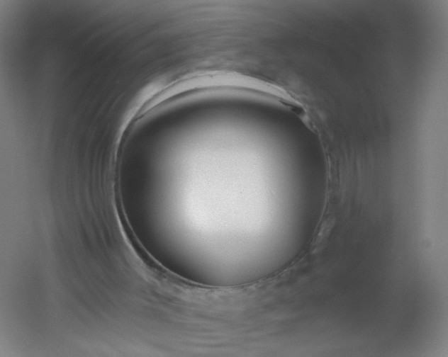 X0000054380003200508121618