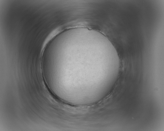 X0000054380004200508121618