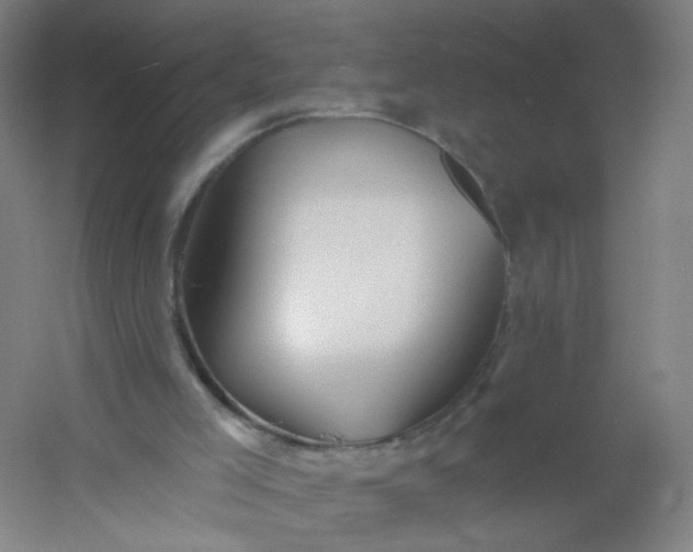 X0000054380005200508121618