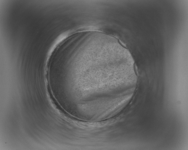 X0000054380006200508121618