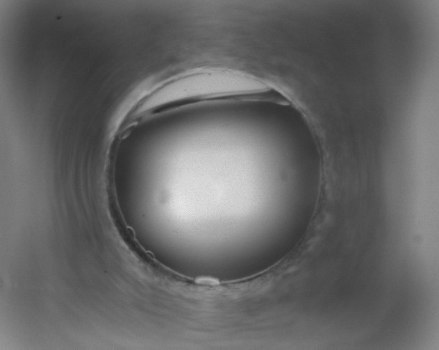 X0000054380007200508121618