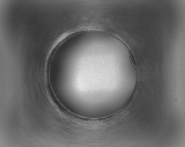 X0000054380008200508121618