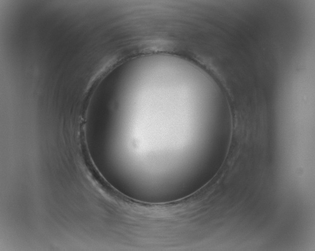 X0000054380010200508121618