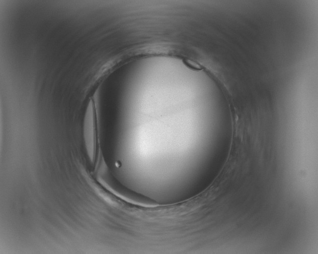 X0000054380013200508121618