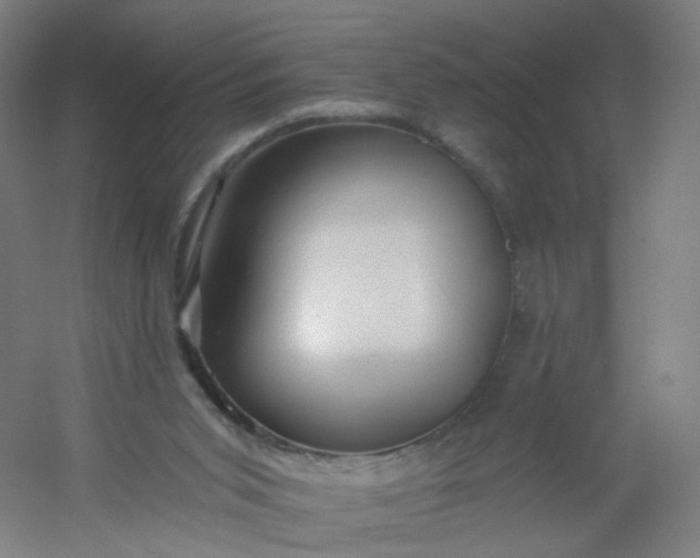 X0000054380015200508121618