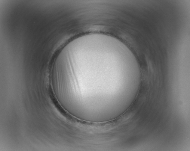 X0000054380016200508121618