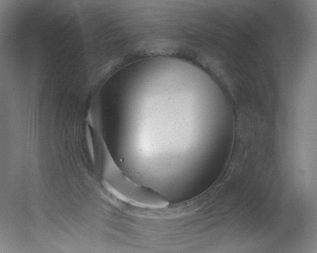 X0000054380017200508121618