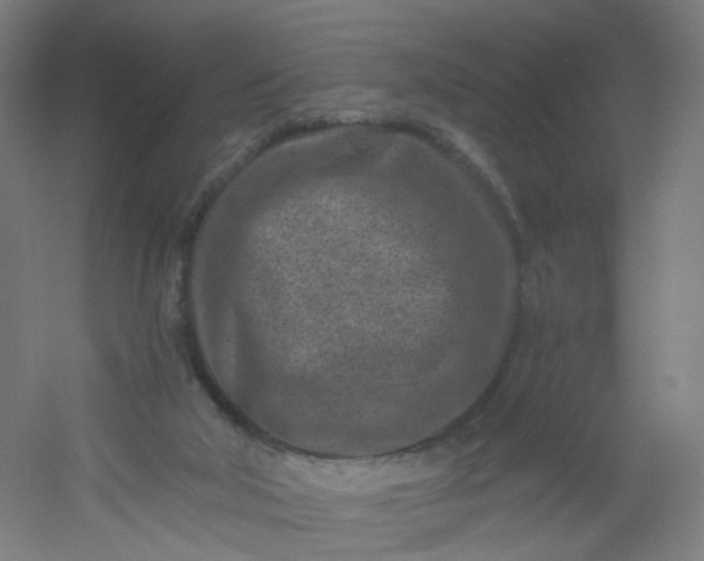 X0000054380018200508121618
