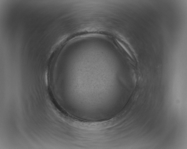 X0000054380019200508121618