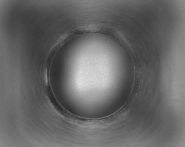 X0000054380020200508121618