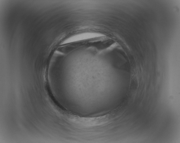 X0000054380023200508121618