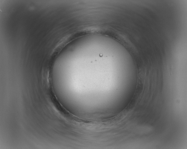 X0000054380024200508121618