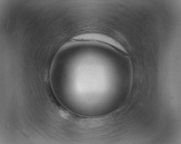 X0000054380025200508121618