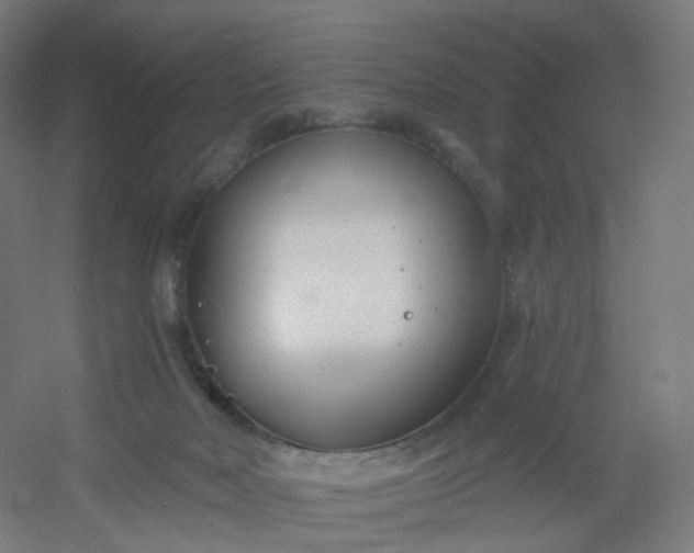 X0000054380026200508121618