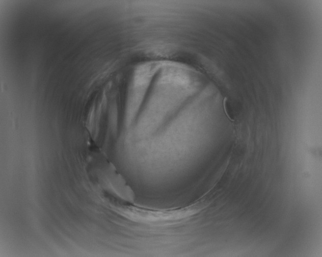 X0000054380027200508121618