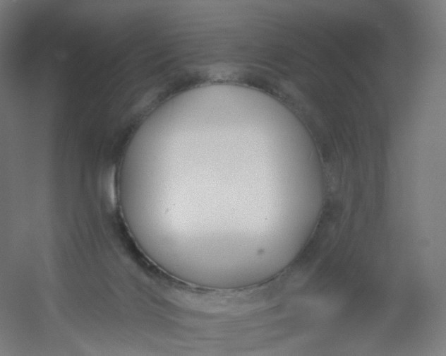 X0000054380028200508121618