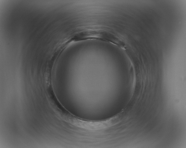 X0000054380031200508121618
