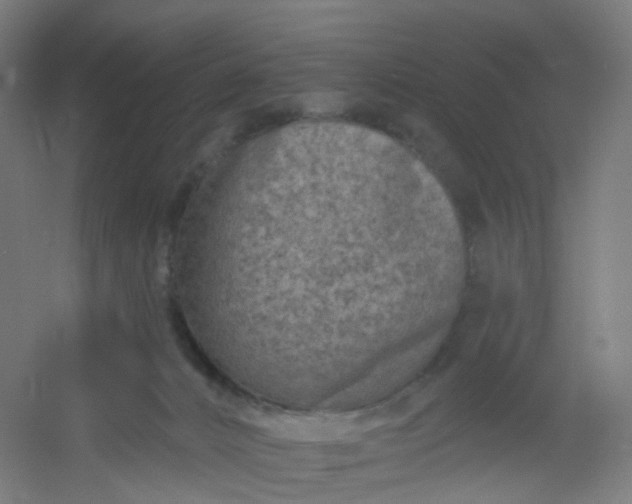 X0000054380032200508121618