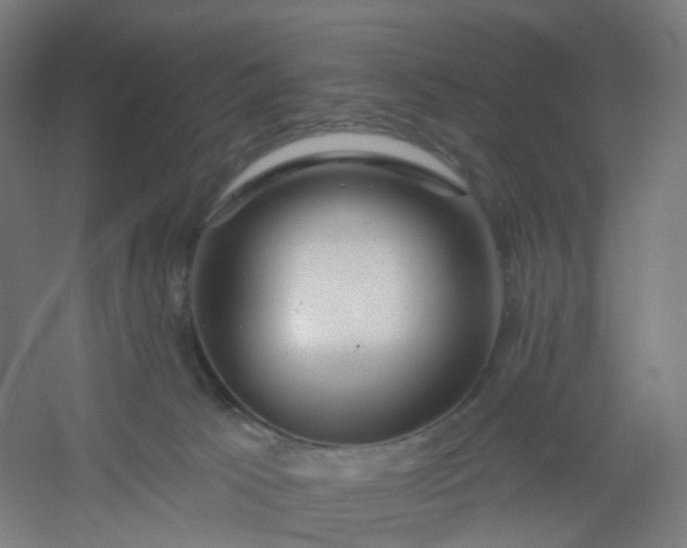 X0000054380033200508121618