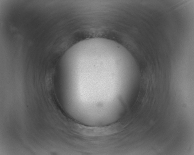 X0000054380034200508121618