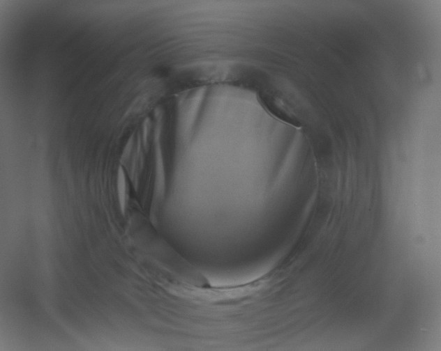 X0000054380035200508121618