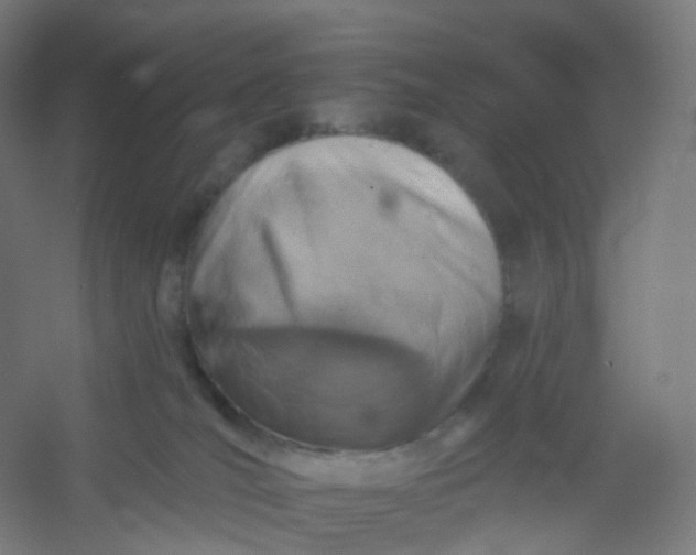 X0000054380036200508121618