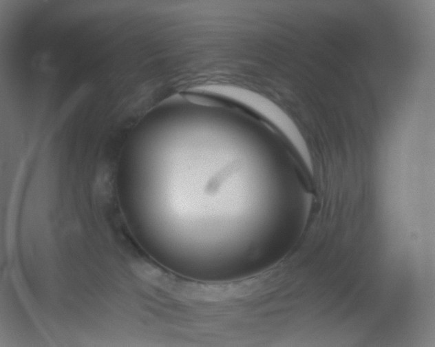 X0000054380037200508121618