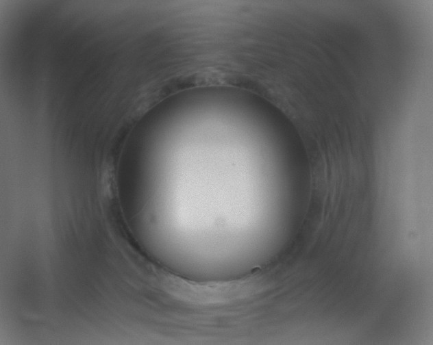 X0000054380038200508121618