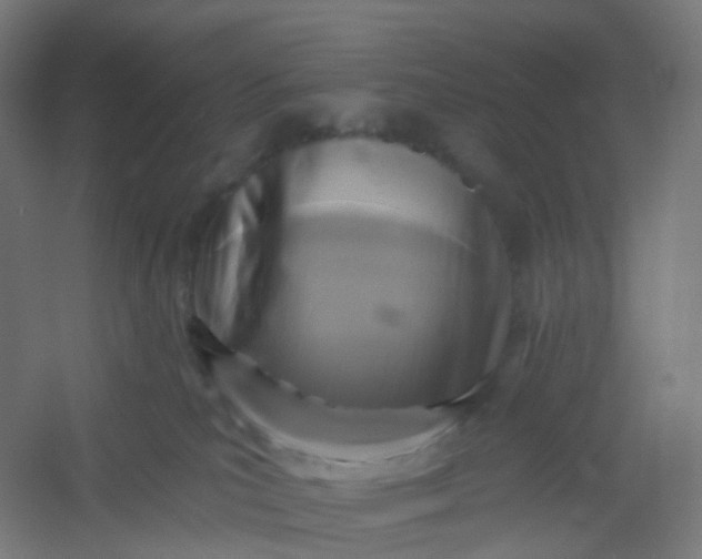X0000054380039200508121618