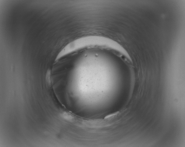 X0000054380041200508121618