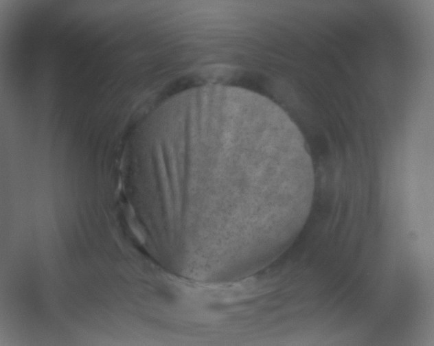 X0000054380042200508121618