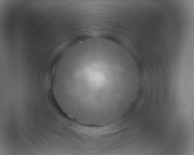 X0000054380043200508121618