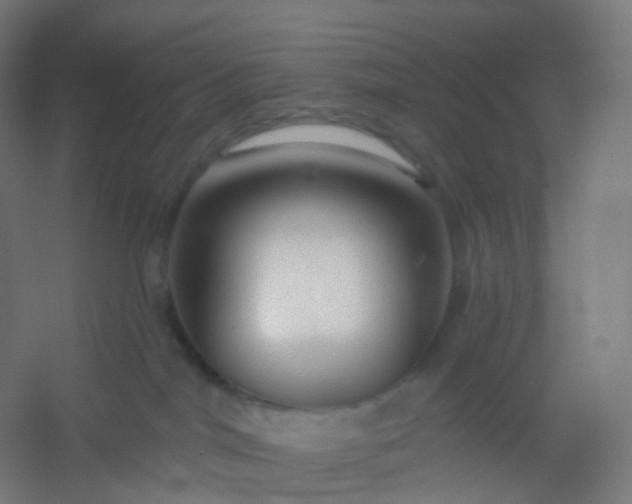 X0000054380044200508121618
