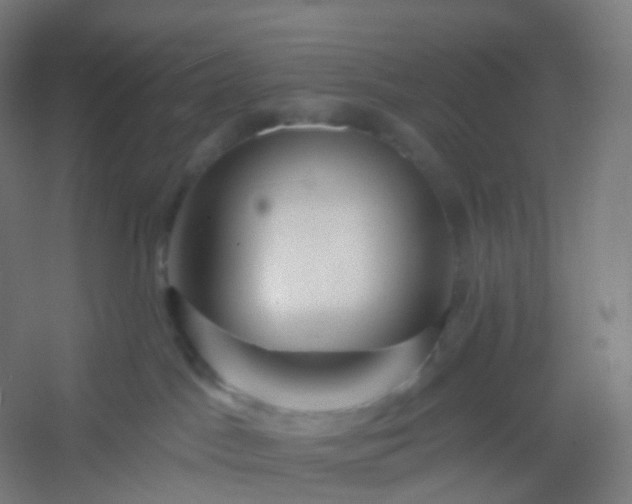 X0000054380045200508121618