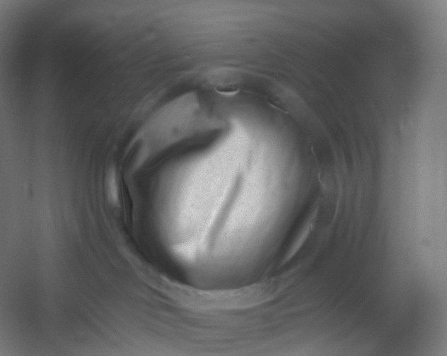 X0000054380046200508121618