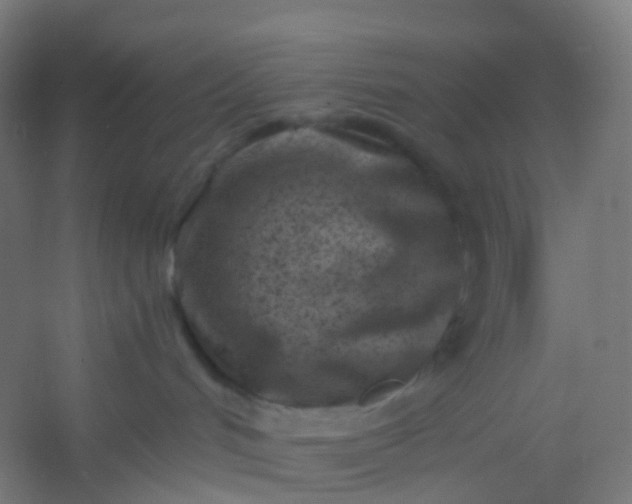 X0000054380048200508121618