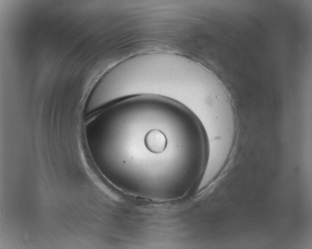 X0000054380049200508121617