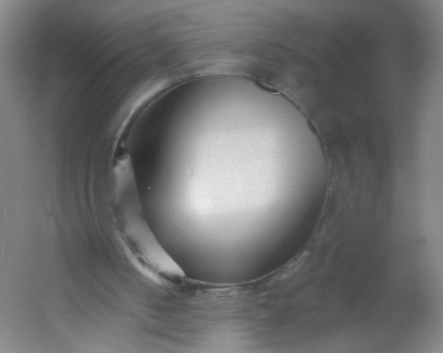 X0000054380050200508121617