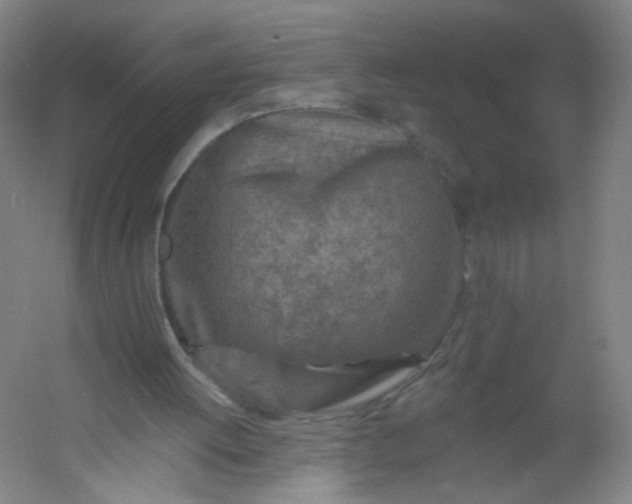 X0000054380052200508121617