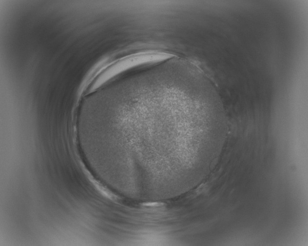 X0000054380053200508121617